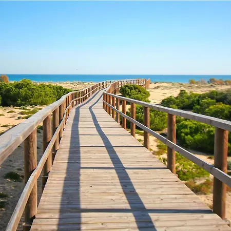 Pet Friendly In With Wifi Santa Pola